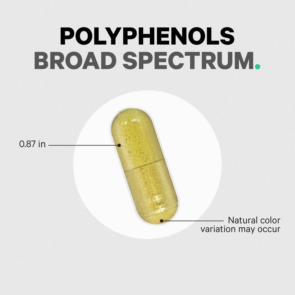 Codeage Polyphenols USA-manufactured facility badge indicating quality production.