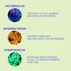 Codex Beauty BIA Probiotic concept suggesting a daily skin ritual