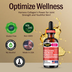 Collagen Mojo burdock root ingredient for everyday vitality