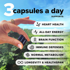 Closeup of Complement Essential vegan multivitamin capsules showing easy-to-swallow form