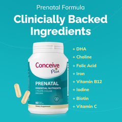 Conceive Plus Prenatal capsules ready to swallow for daily nutrient support.