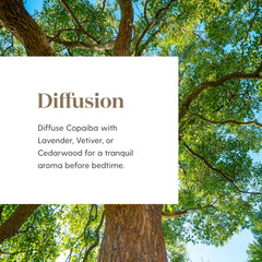 Copaiba oil relaxing aroma fills living space