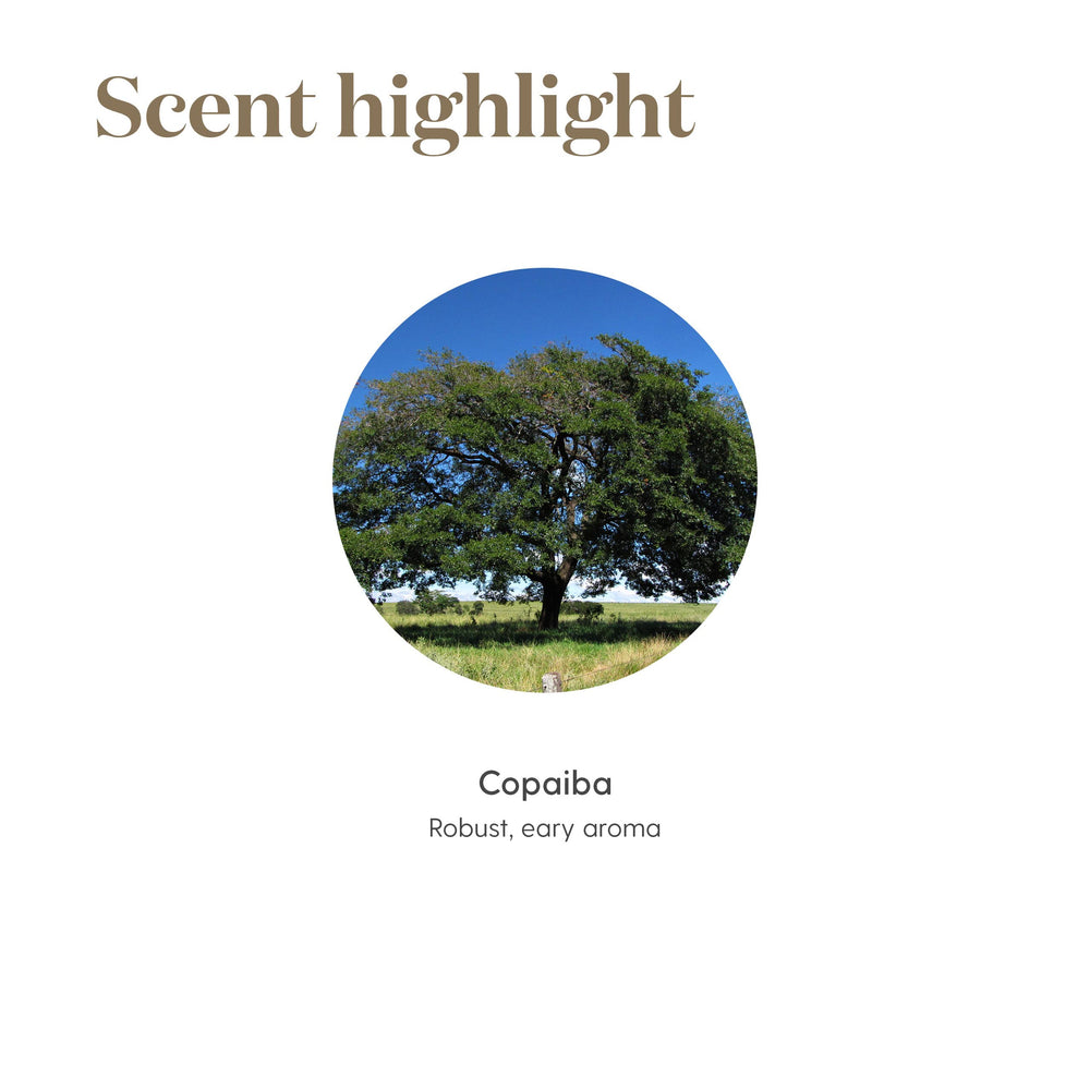 Copaiba oil for skin glow in daily care