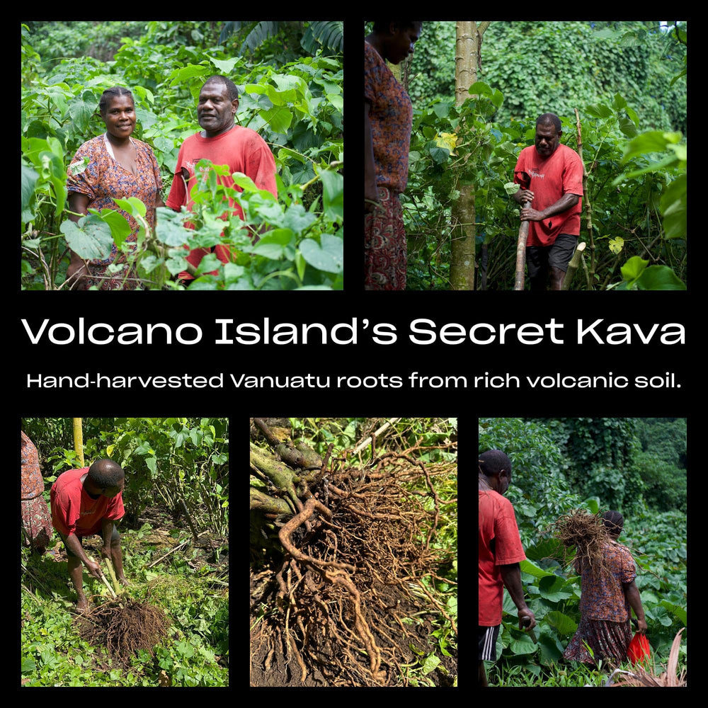 Traditional cup with Coral Sea Kava powder ready for ritual brew.