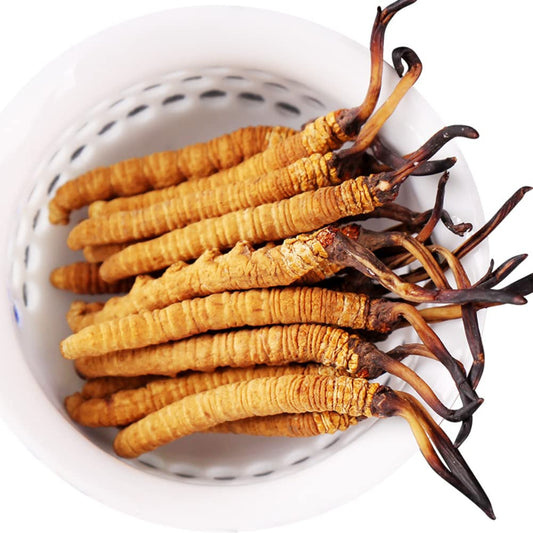 Cordyceps Sinensis 3g packaging shows authentic Himalayan harvest for culinary use.