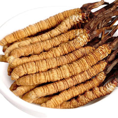 Bottle with Cordyceps Sinensis label highlights wild origin and quality control.