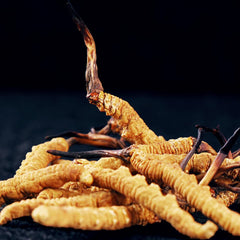 Texture-rich dried Cordyceps Sinensis offers rustic culinary appeal.