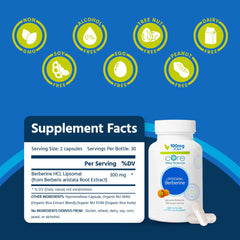Close-up of Core Med Science berberine capsules for easy daily use and metabolic support
