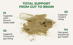 COREHEALTH Ashwagandha L-Theanine nootropics visual emphasizing stress relief and mental clarity.