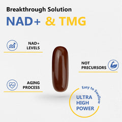 Corllia NAD+ with TMG diagram illustrating methylation cycle synergy
