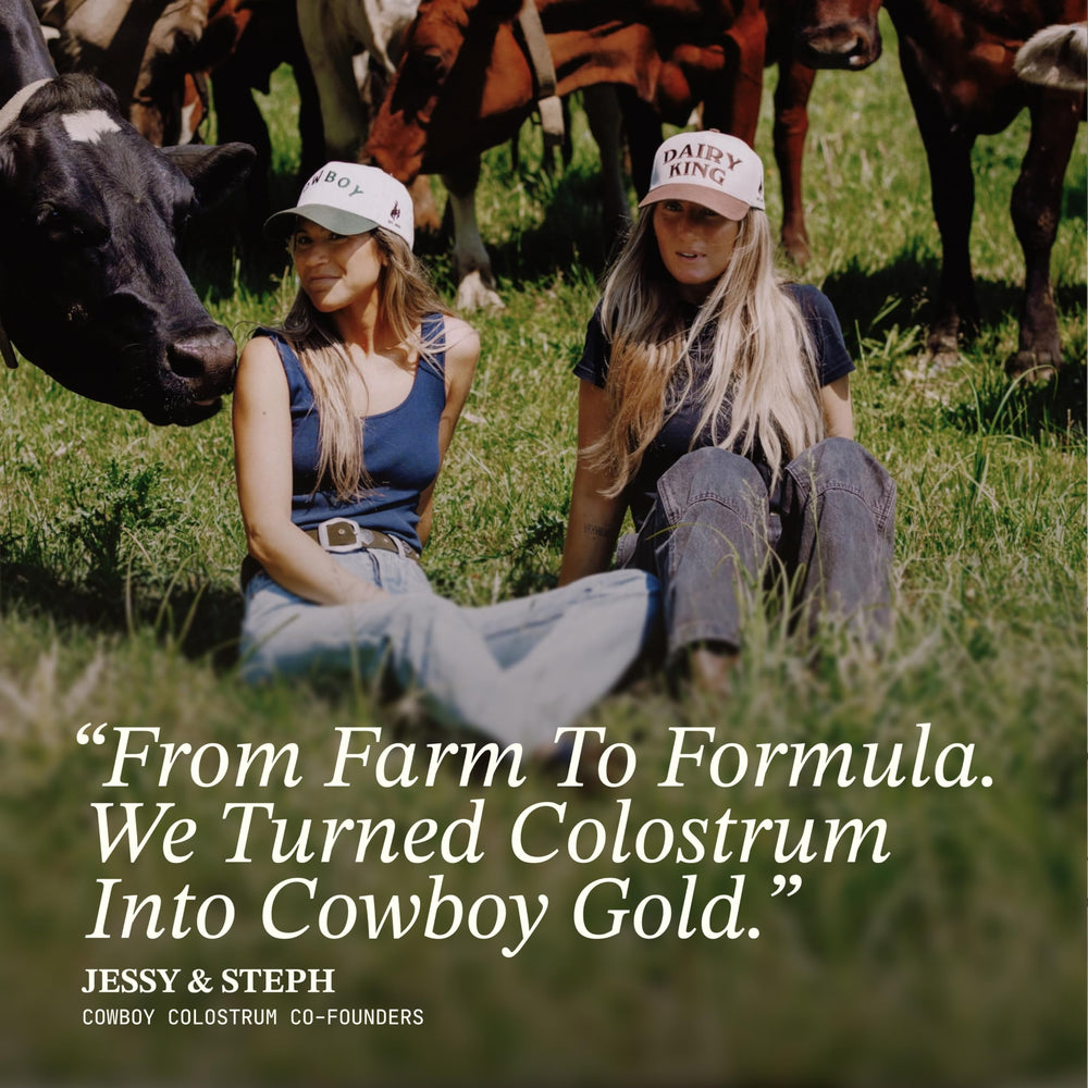 Cowboy Colostrum smoothie mix chocolate for on-the-go nutrition