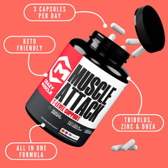 Crazy Muscle DHEA capsules close-up with ingredient blend for recovery support.