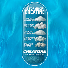 Close-up of CREATURE Creatine Complex capsules—compact pills for convenient daily use