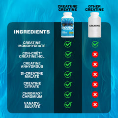 Label highlights five creatine types and cofactors for versatile workouts