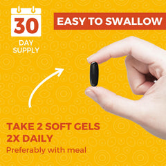 Cuerpo Sano daily use setup illustrating easy integration into routines.