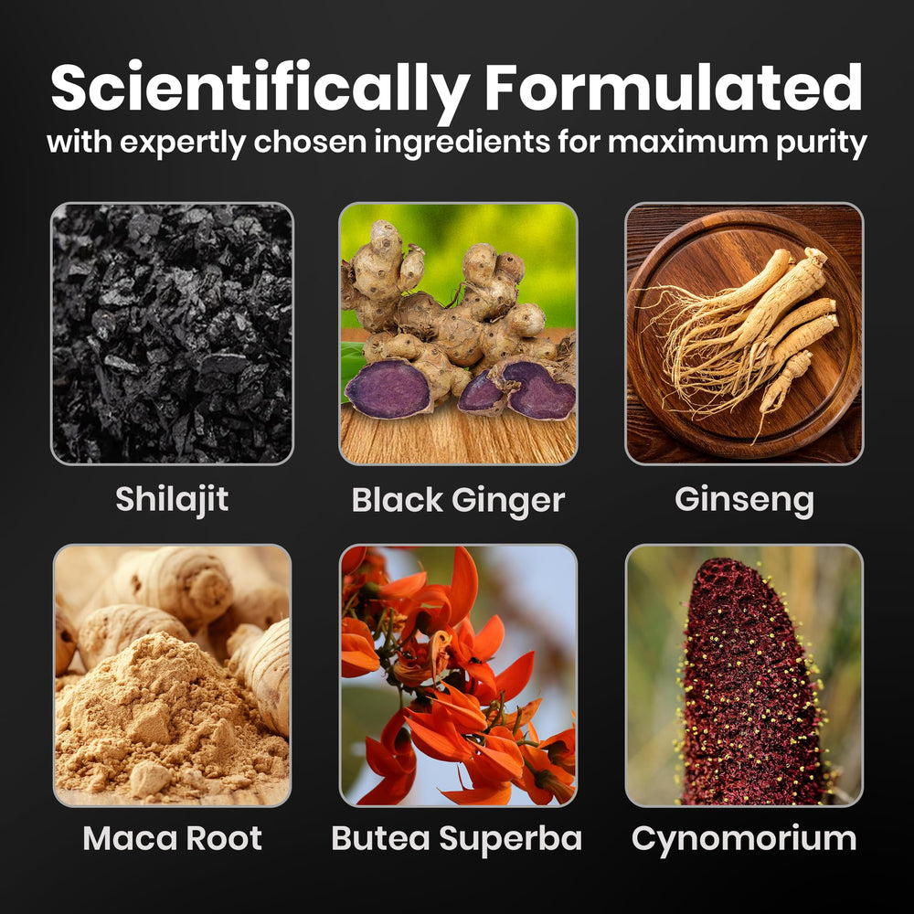 Cured Pure Himalayan Shilajit Honey Stick closeup highlights mineral-rich blend.