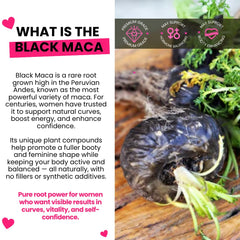 Curvy Fruit maca capsules arranged for consistent daily use.