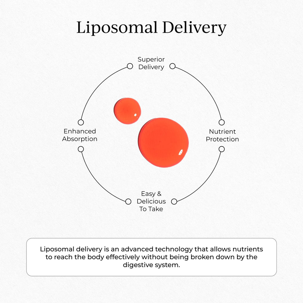 CYMBIOTIKA liposomal B12 liquid ingredients list emphasizing gluten-free and vegan-friendly formulation.