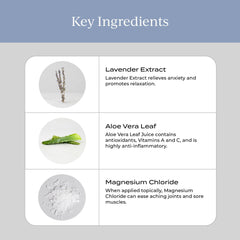 CYMBIOTIKA lavender extract close-up highlighting calming properties.