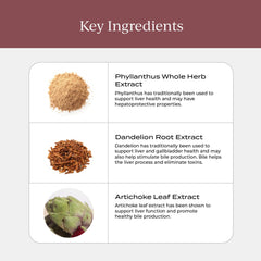 CYMBIOTIKA Liver Health+ ingredients image highlights hepatoprotective herbs.