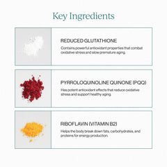 CYMBIOTIKA PQQ CoQ10 antioxidants highlight mitochondrial protection and oxidative balance.