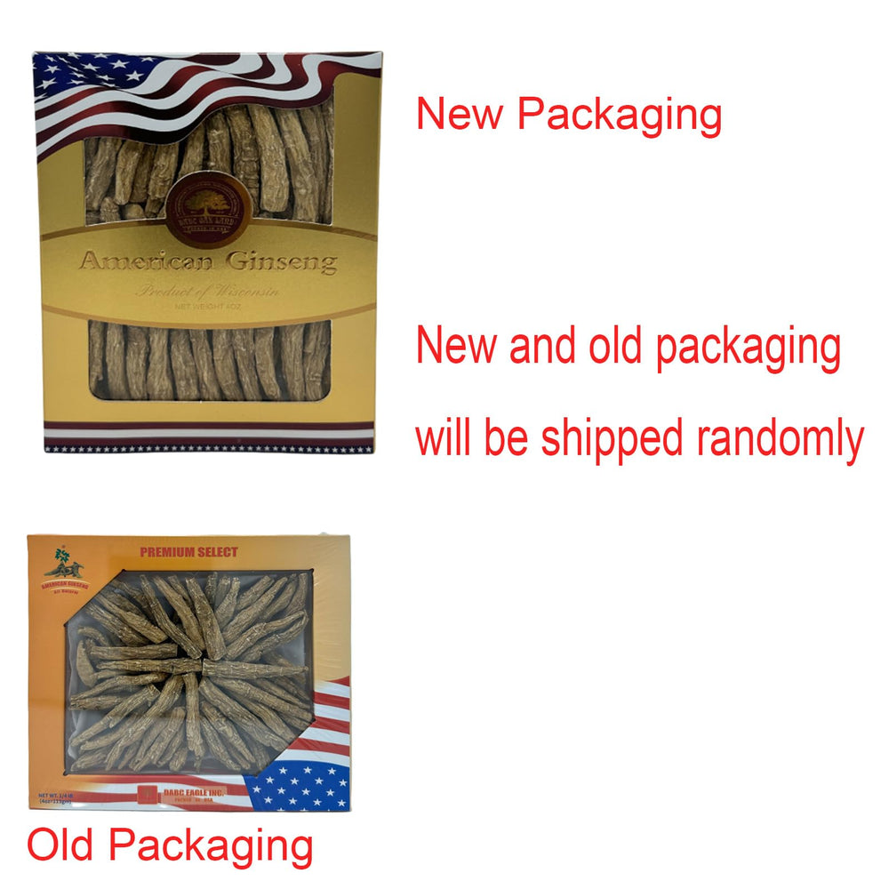 DABC OAK LAND dried American ginseng root detail