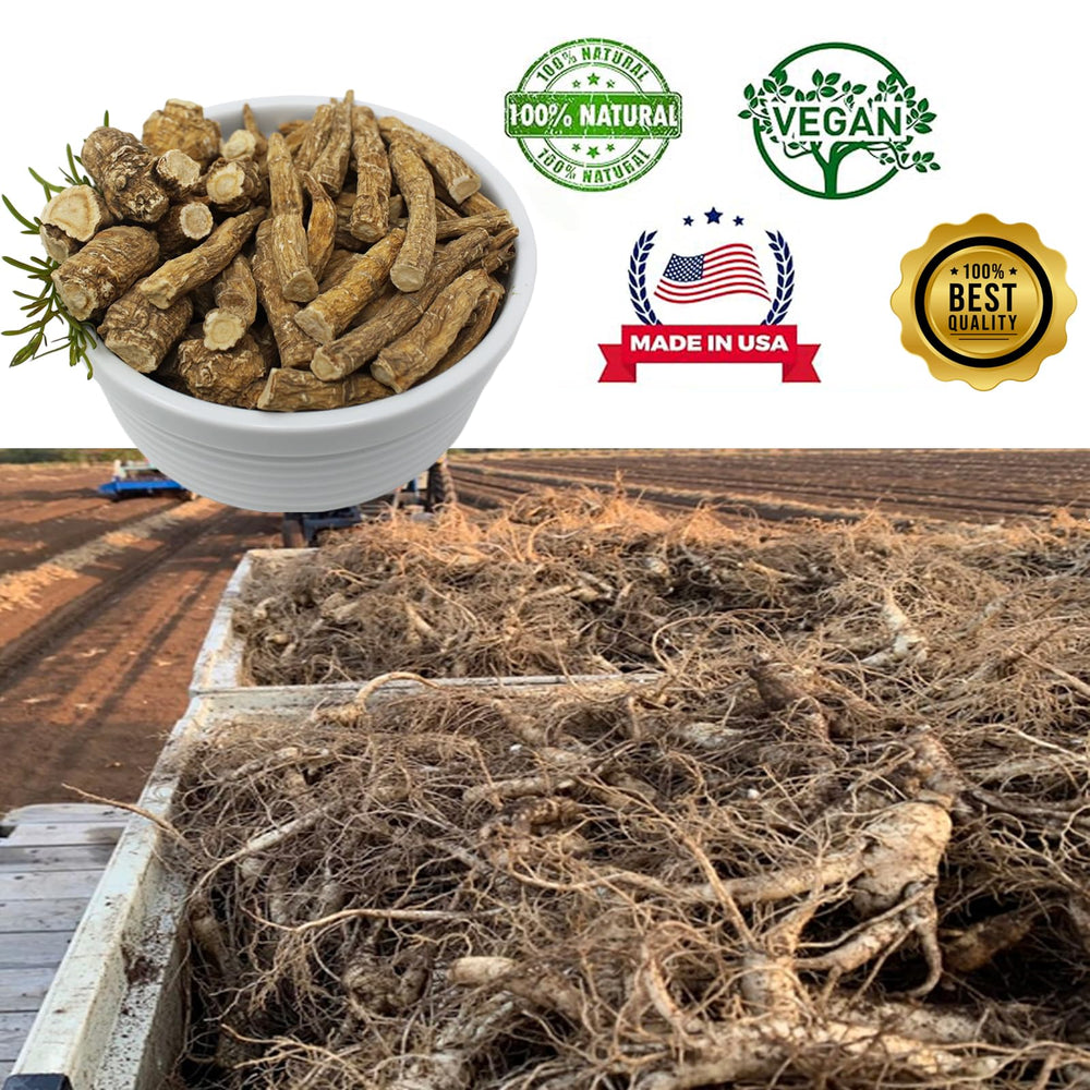 Raw ginseng slices ready to chew for quick wellness moment