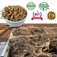 Raw ginseng slices ready to chew for quick wellness moment