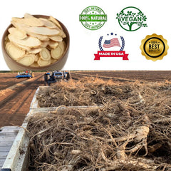 DABC OAK LAND Wisconsin ginseng slices brew—easy to steep for focused moments.