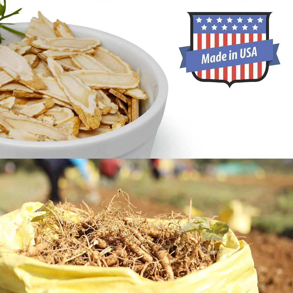 DABC OAK LAND ginseng slices in tea—subtle sweetness plus natural stamina support.