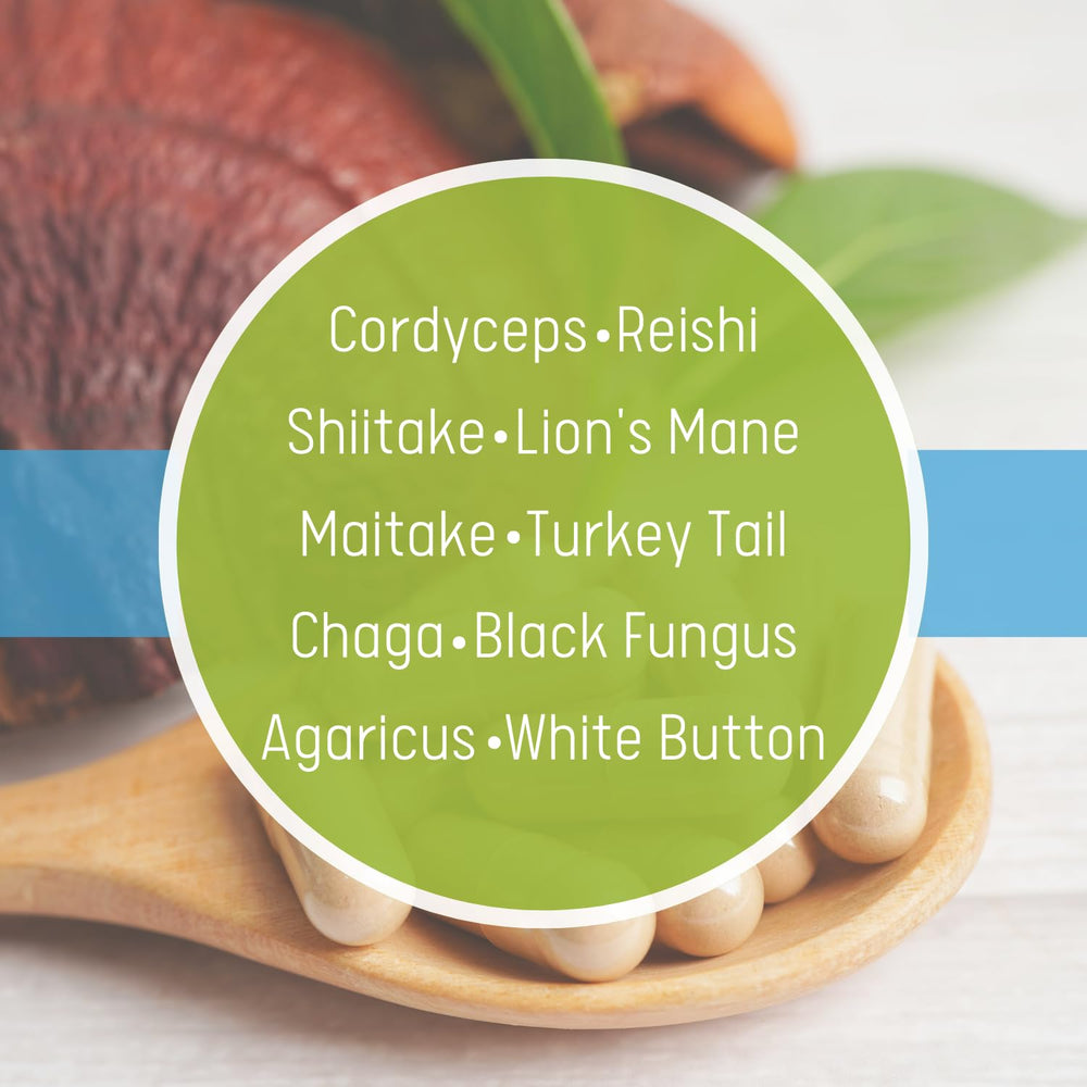 Daily Health 10 Mushroom Blend ingredient panel highlighting key mushroom extracts.