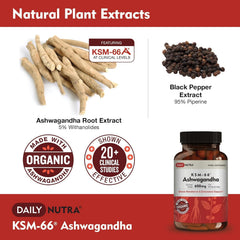 DailyNutra KSM-66 bottle back shows organic and gluten-free formulation.