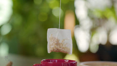Dairyland American Ginseng Tea Bags steeping with lemon ready for a gentle morning uplift.