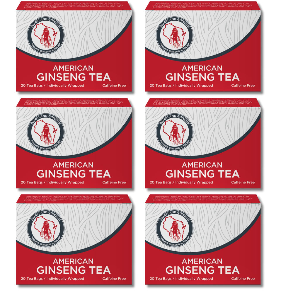 Dairyland American Ginseng Tea Bags six-pack ready for a gentle energy lift.