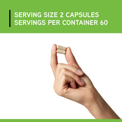 Olive leaf imagery featured with Davinci BP Elite for circulation support.