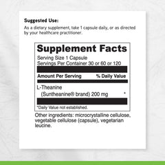 DaVinci L-Theanine ingredients panel featuring Suntheanine.