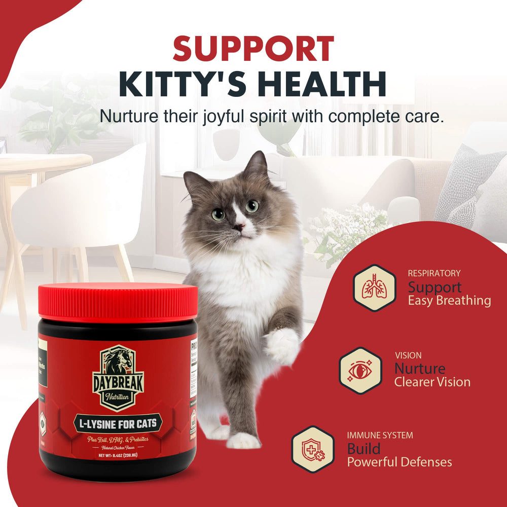 Daybreak Lysine for Cats bottle label highlighting 900 mg per scoop formula