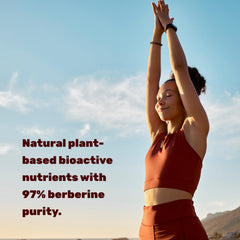 DEAL SUPPLEMENT Berberine Max turmeric extract note highlighting 20:1 potency
