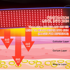 DGXINJUN red infrared therapy belt roomy interior for various body sizes