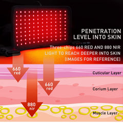 DGXINJUN traditional steady-light mode provides continuous exposure for consistent coverage.