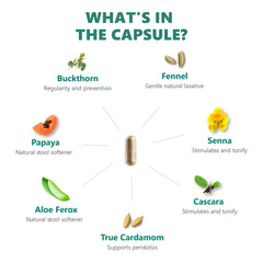 Digestic detox concept visuals imply gentle colon cleanse support.