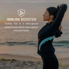Turkey Tail smoothie mix adds immune support to daily drinks.