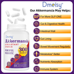 Front packaging label of Dmeisy Akkermansia shelf-stable probiotic for adults.