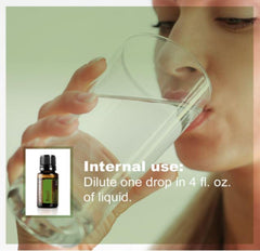 doTERRA Basil used to support focus during study sessions
