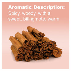 DoTERRA Cinnamon Oil in diffuser for warm aroma