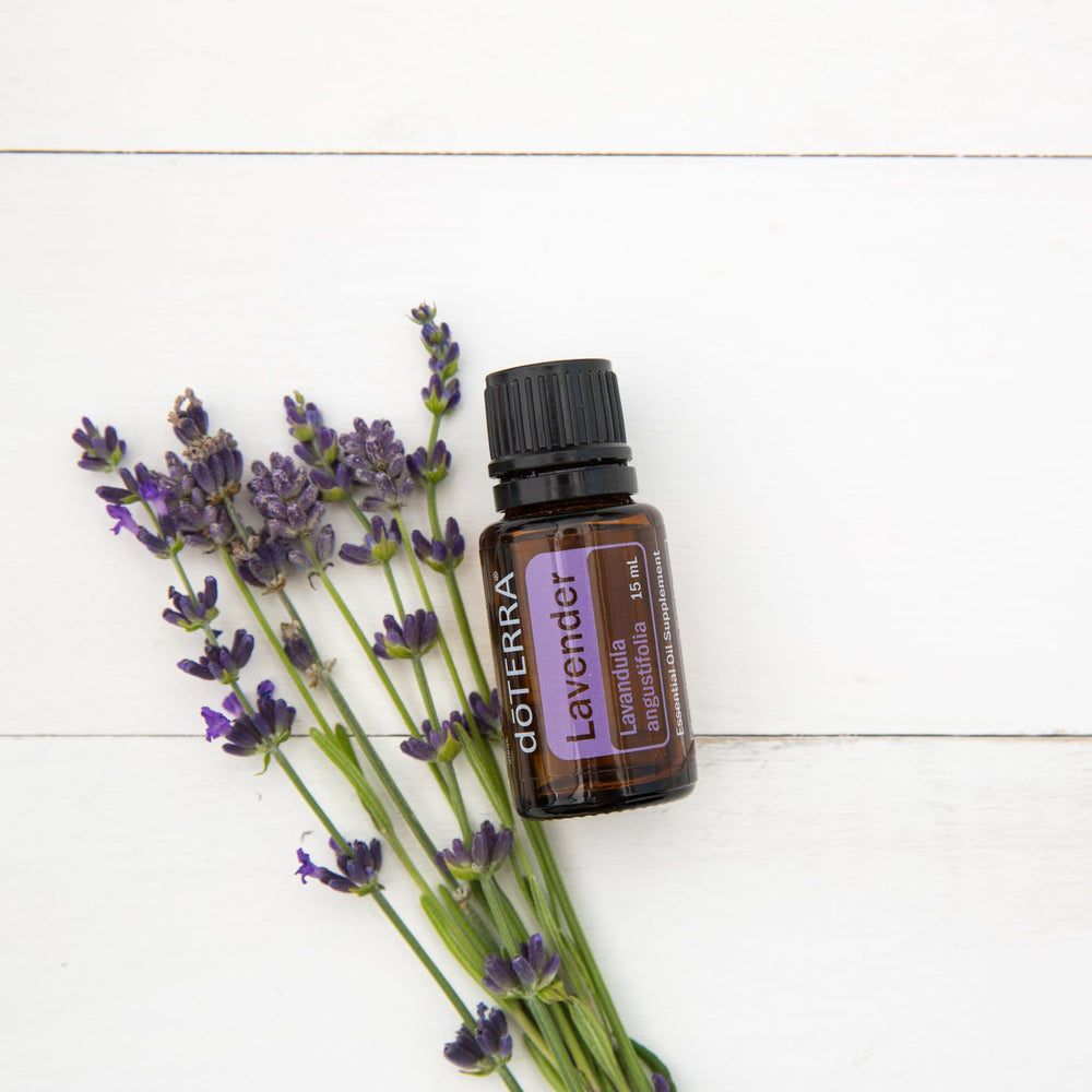 doTERRA Lavender Oil 2-pack front view for value and convenience