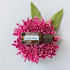 doTERRA Ylang Ylang added to hair oil for shine
