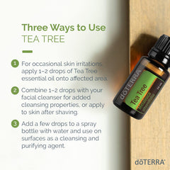 doTERRA Melaleuca oil diffuser session for air freshness and purification.