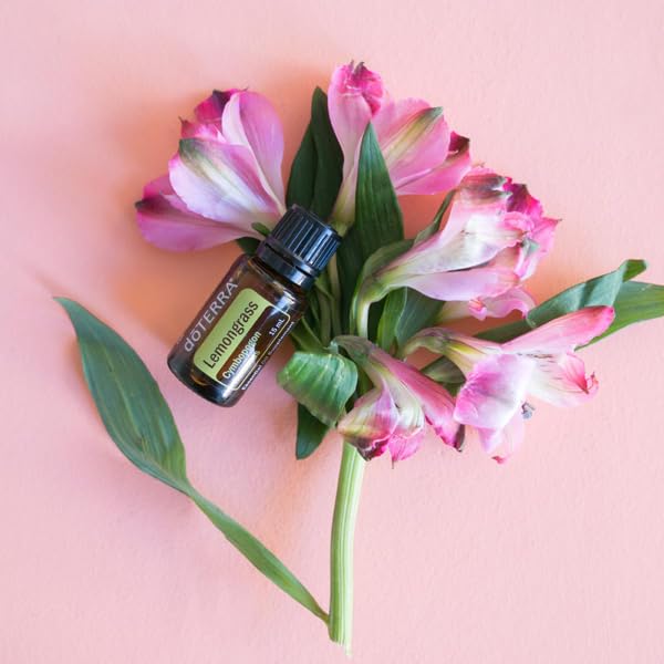 doTERRA Lemongrass oil dilution in carrier oil for safe topical use
