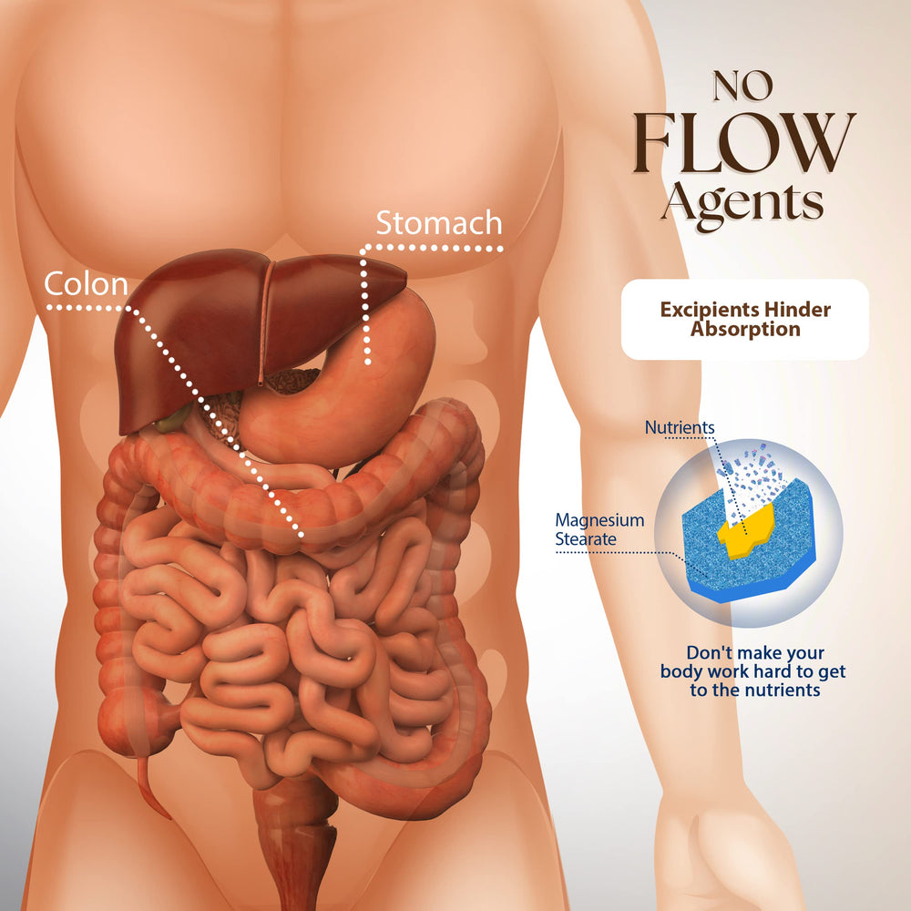 Dr Clark Store cloves capsules image, herbal option with potential digestive and immune support.